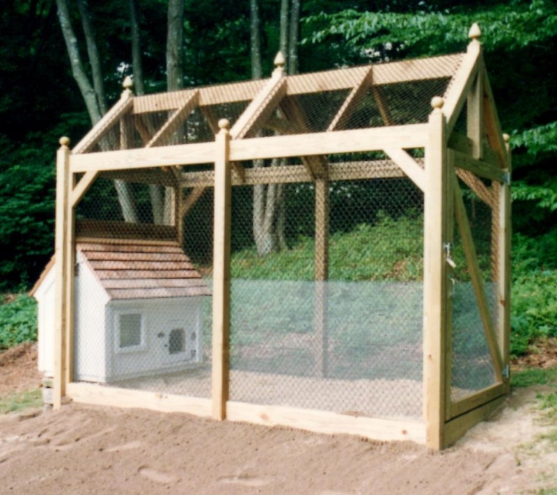 Custom Chicken Coop